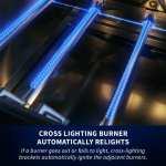 Napoleon 700 Series 5-Burner 38-Inch Built-In Propane Grill w/ Rotisserie & SafetyGlow - BIG38RBPSS-1 - Image 16