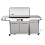 Weber Summit Smart FS38X S Propane Grill - Stainless Steel - 1500052