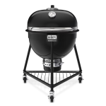 Weber Summit 24-Inch Kamado E6 Charcoal Grill w/ Stand - 18201001