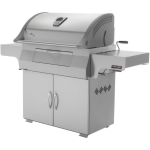 Napoleon Professional Freestanding Charcoal Grill - Image 3