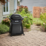 Weber Q2800N+ Propane Gas Grill - Midnight Black - 1500390