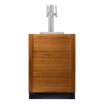 True 24 Inch Left Hinge Outdoor Dual Tap Beverage Dispenser - Overlay Ready - TUR-24DD-L-OP-C