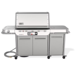 Weber Summit Smart FS38X S Natural Gas Grill - Stainless Steel - 1500053