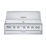 Crown Verity Infinite Series 48-Inch Built-In Propane Gas Grill - IBI48LP